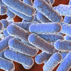 Morganella morganii qPCR assay