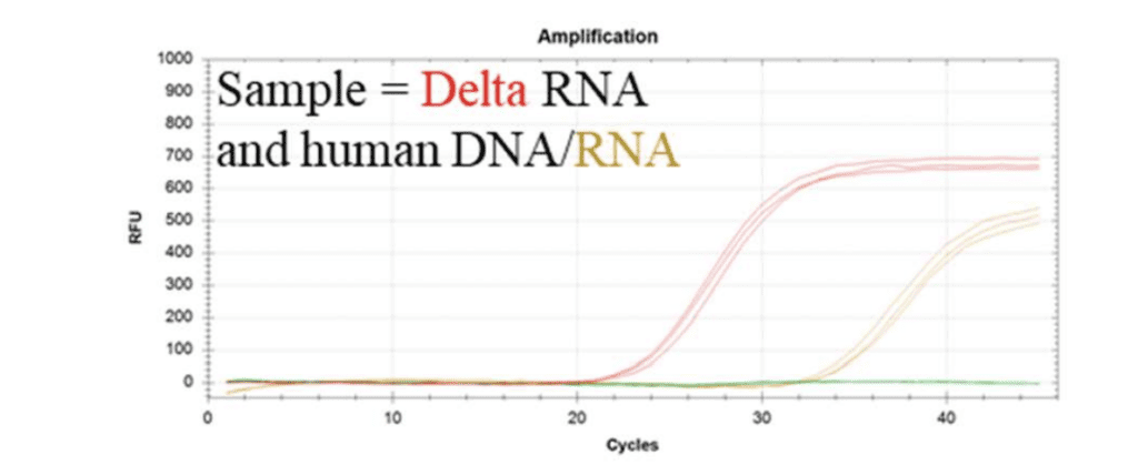 N2P-RPP30 figure 1