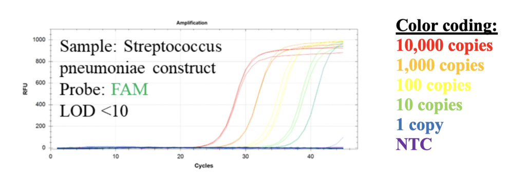 Streptococcus figure 2